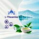 تصویر محصول ال-تئانین از برند Hebei Huaheng Biological Technology Co., Ltd