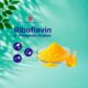 تصویر محصول Riboflavin 5′-Phosphate Sodium